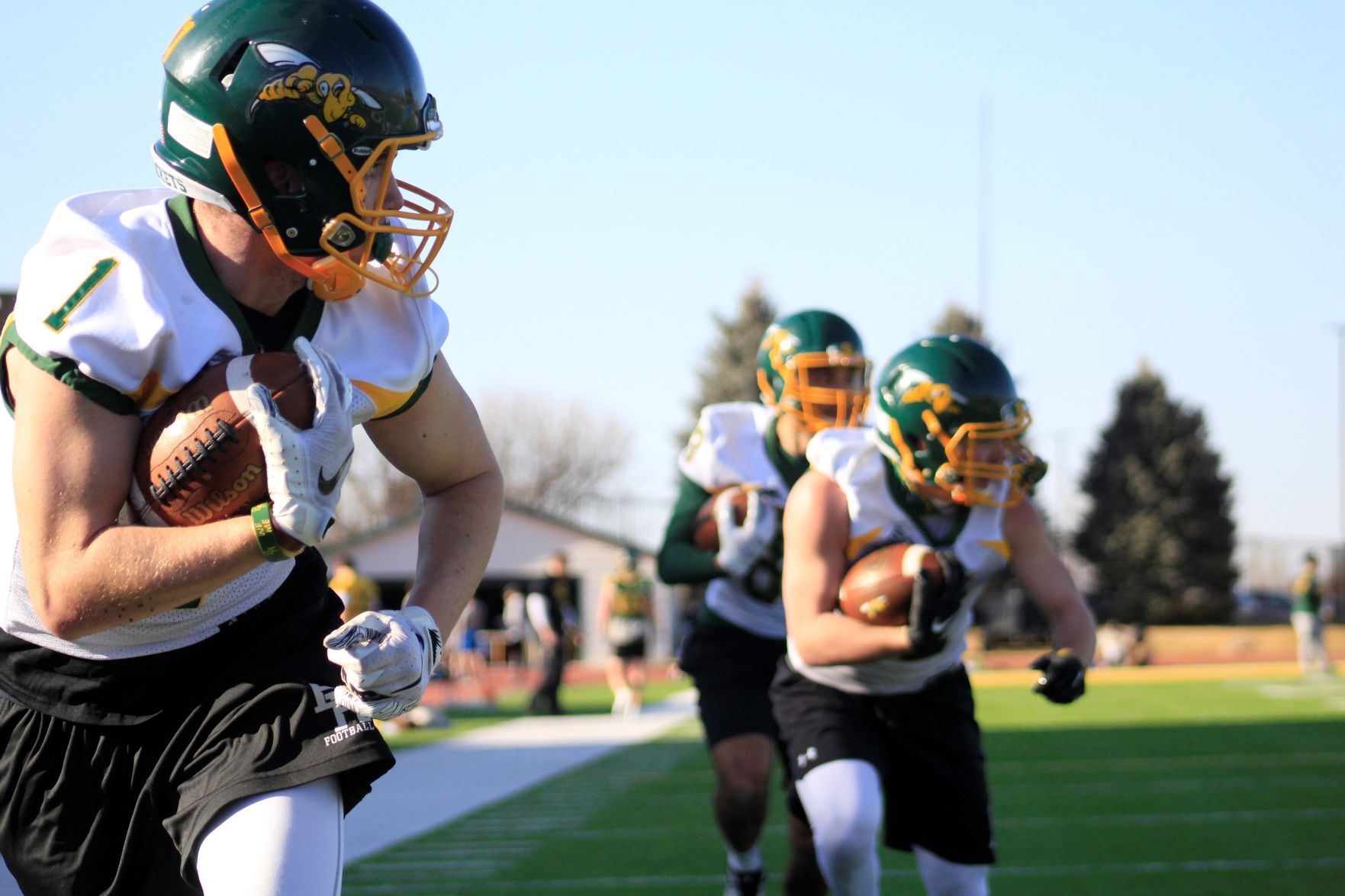 Black Hills State photo